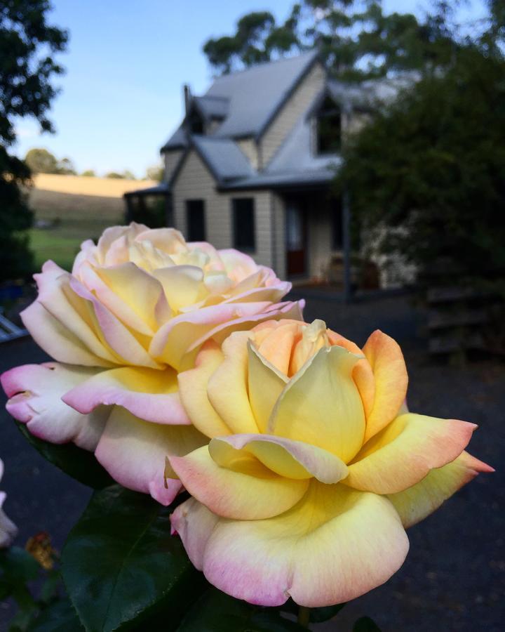 Brigadoon Cottages Haunted Hills 외부 사진