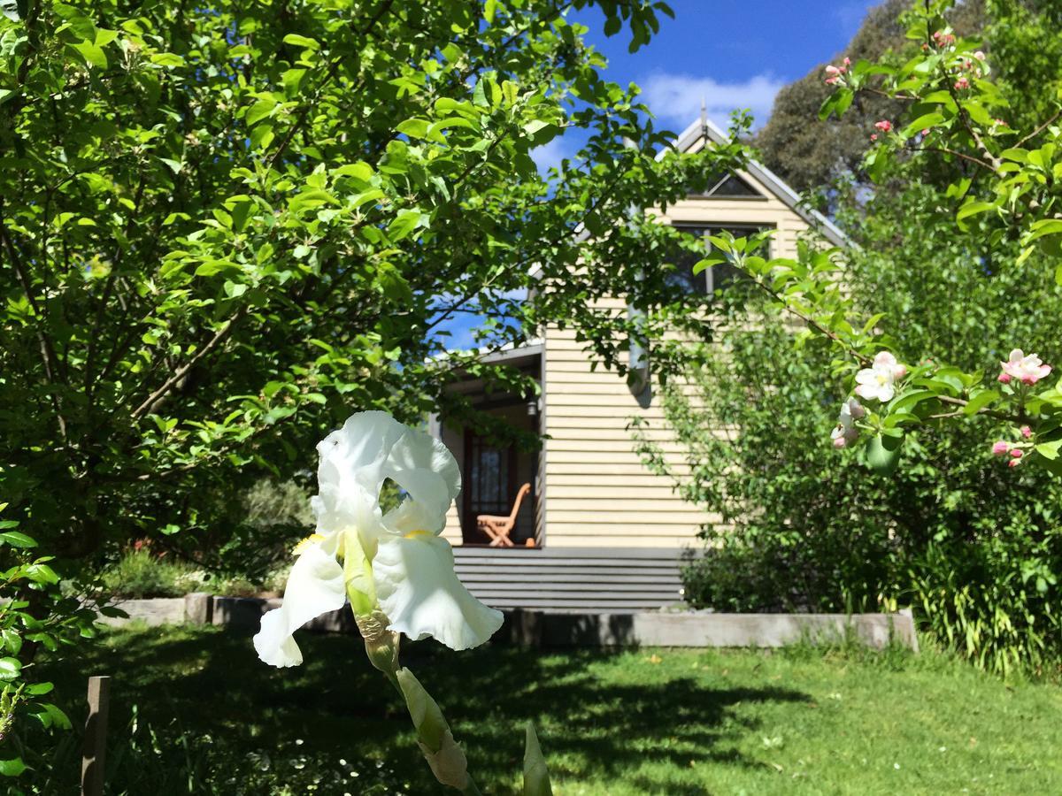 Brigadoon Cottages Haunted Hills 외부 사진